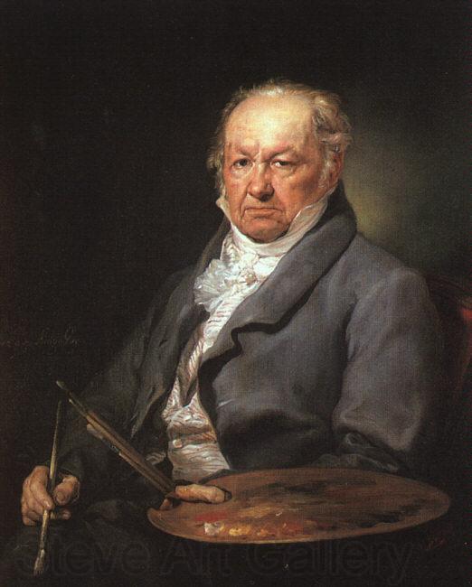 Vicente Lopez Portrait of Francisco de Goya Spain oil painting art